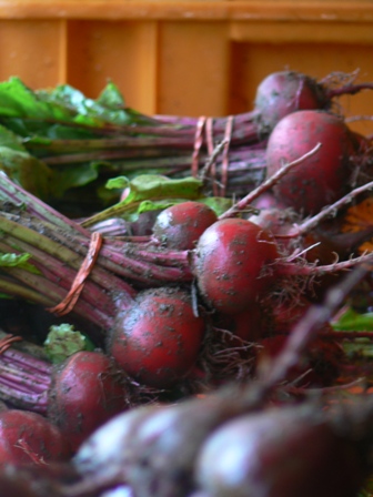 Beets