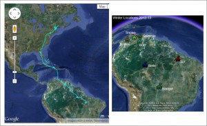 Rob Bierregaard's Osprey Tracking
