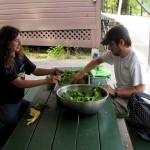 Wildwood Harvest