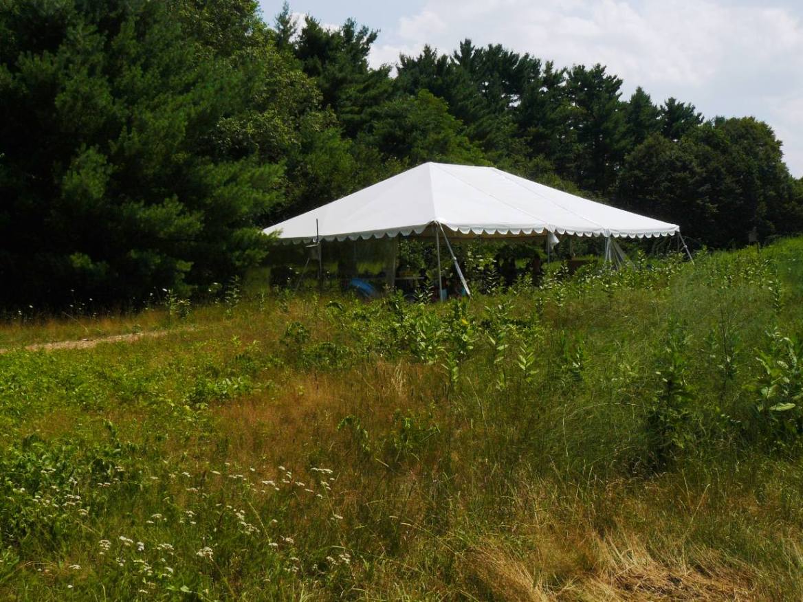 program tent in field