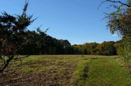 Indian Brook field mowing