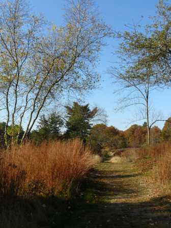 Old Orchard Trail and Little Bluestem