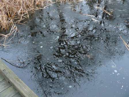 Skim ice off boardwalk