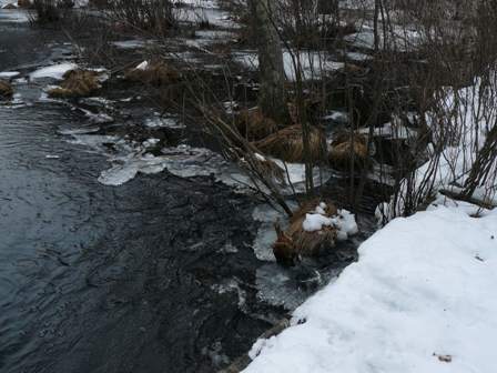 ice melting in Indian Brook