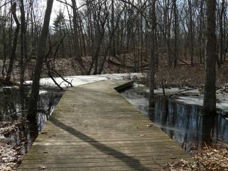 vernal pool thawing