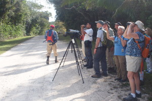 A Mass Audubon tour group enjoying the birding in La Milpa, Belize