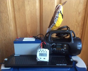 Equipment and Eastern Meadowlark decoy for playback field experiment.
