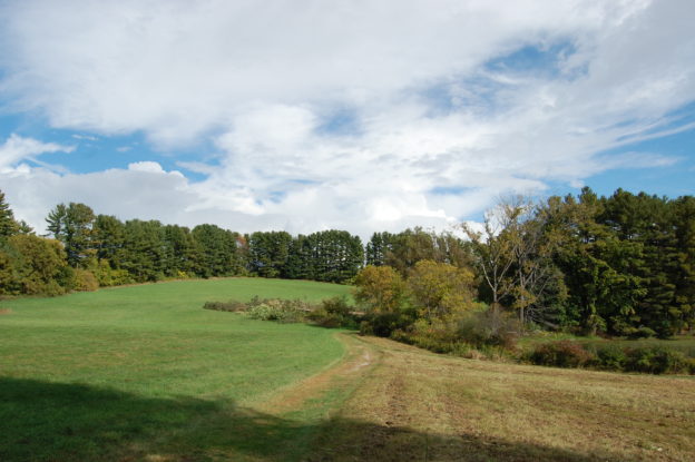 Canoe Meadows grassland restoration project begins | Distraction Displays