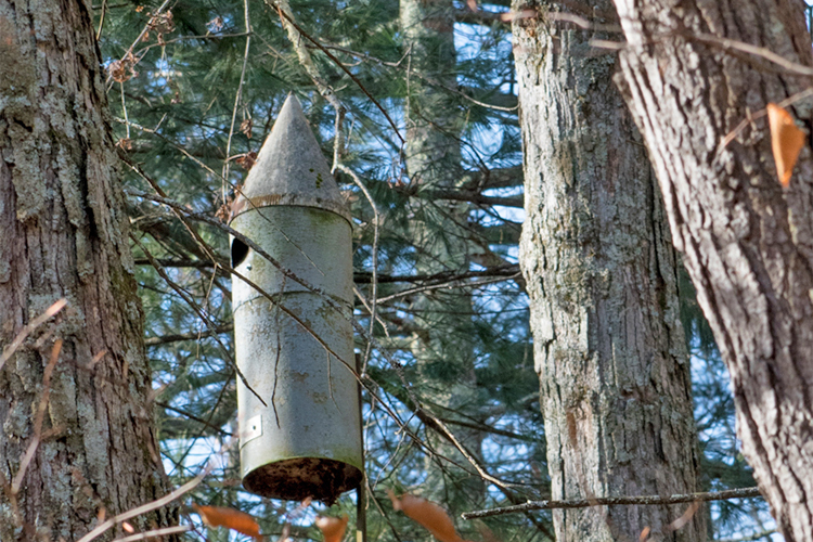 Mystery object on South Trail © Marian Pierre-Louis