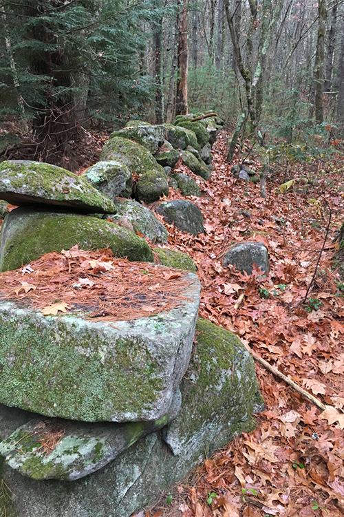 Stone wall at Stony Brook covered in fallen leaves