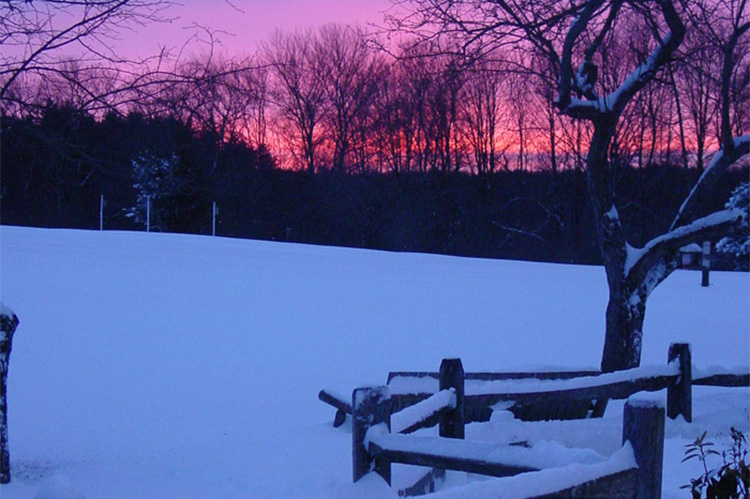 Snow covered fence and field at sunset