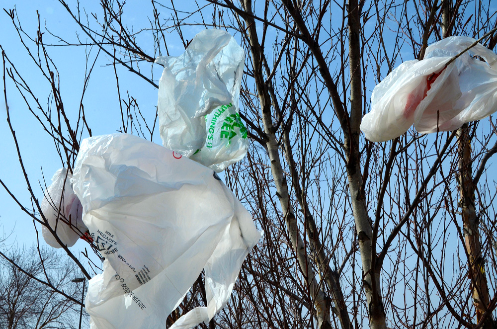 New York's plastic bag ban upheld
