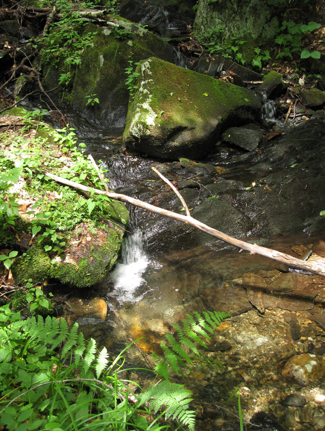 Mountain Brook at West Mountain (small)