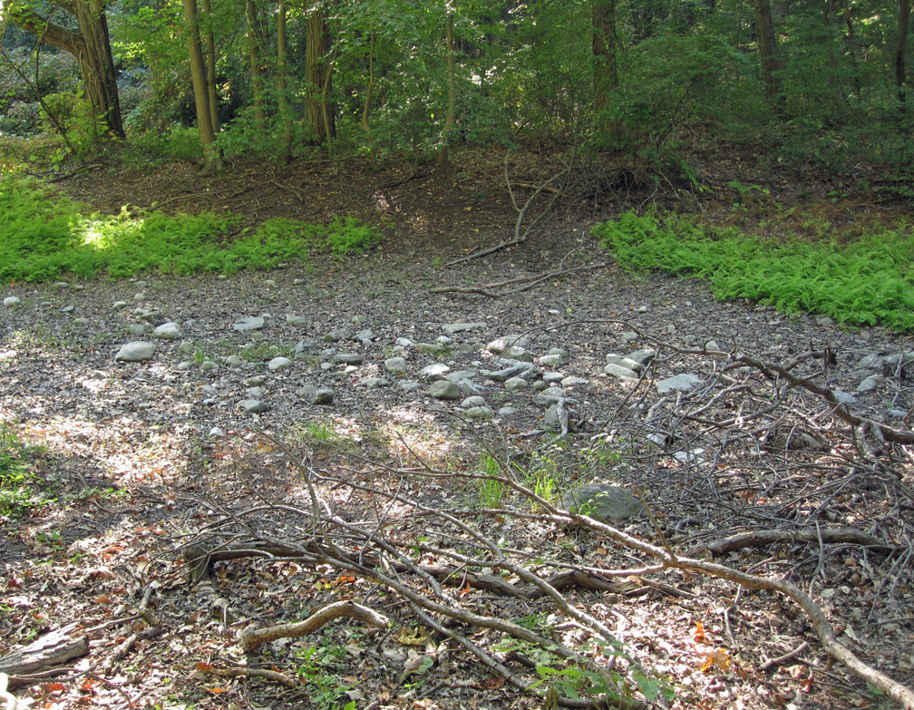 Vernal Pool at Lincoln Woods - DRY (small)