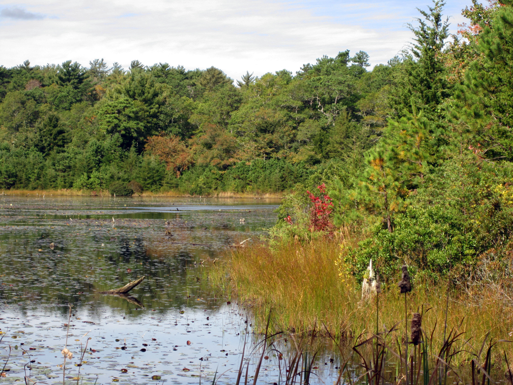 West Pond, Skunknett - at 72 dpi