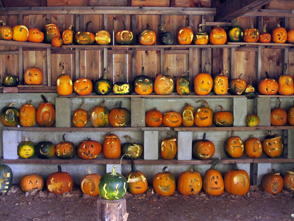 Pumpkin Carving Display - at 72 dpi