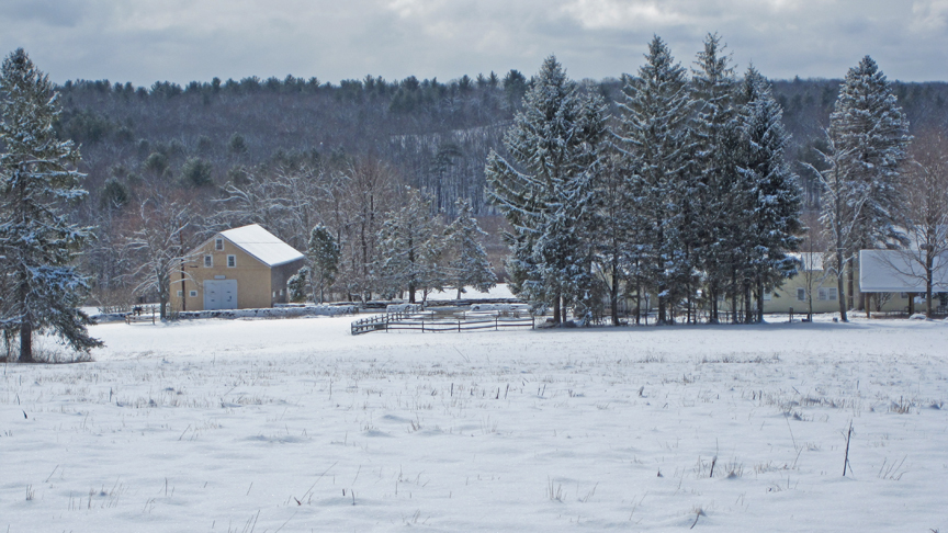 Horse Barn at WM - at 72 dpi