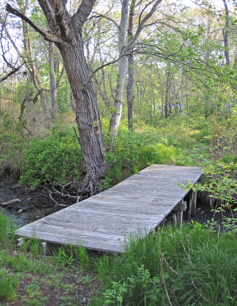 The Ditch at Nahant - at 72 dpi