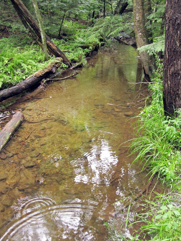 Stevens Brook, Roads End - at 72 dpi