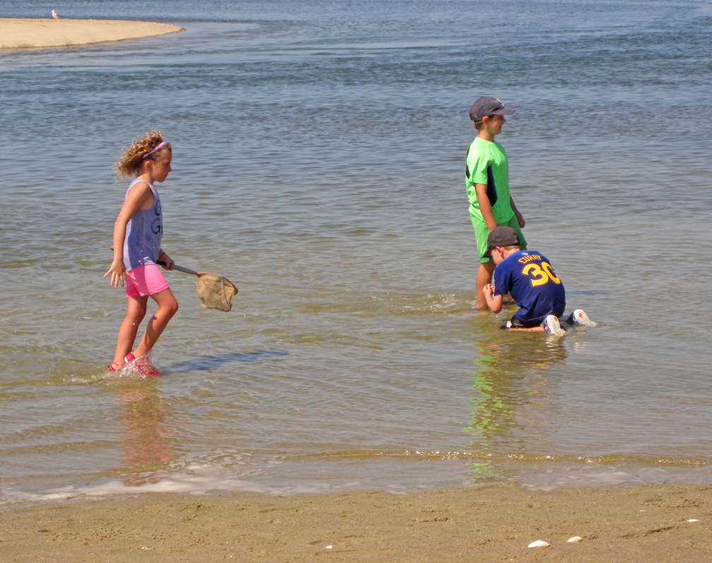 kids-exploring-the-marsh-wellfleet-bay-at-72-dpi