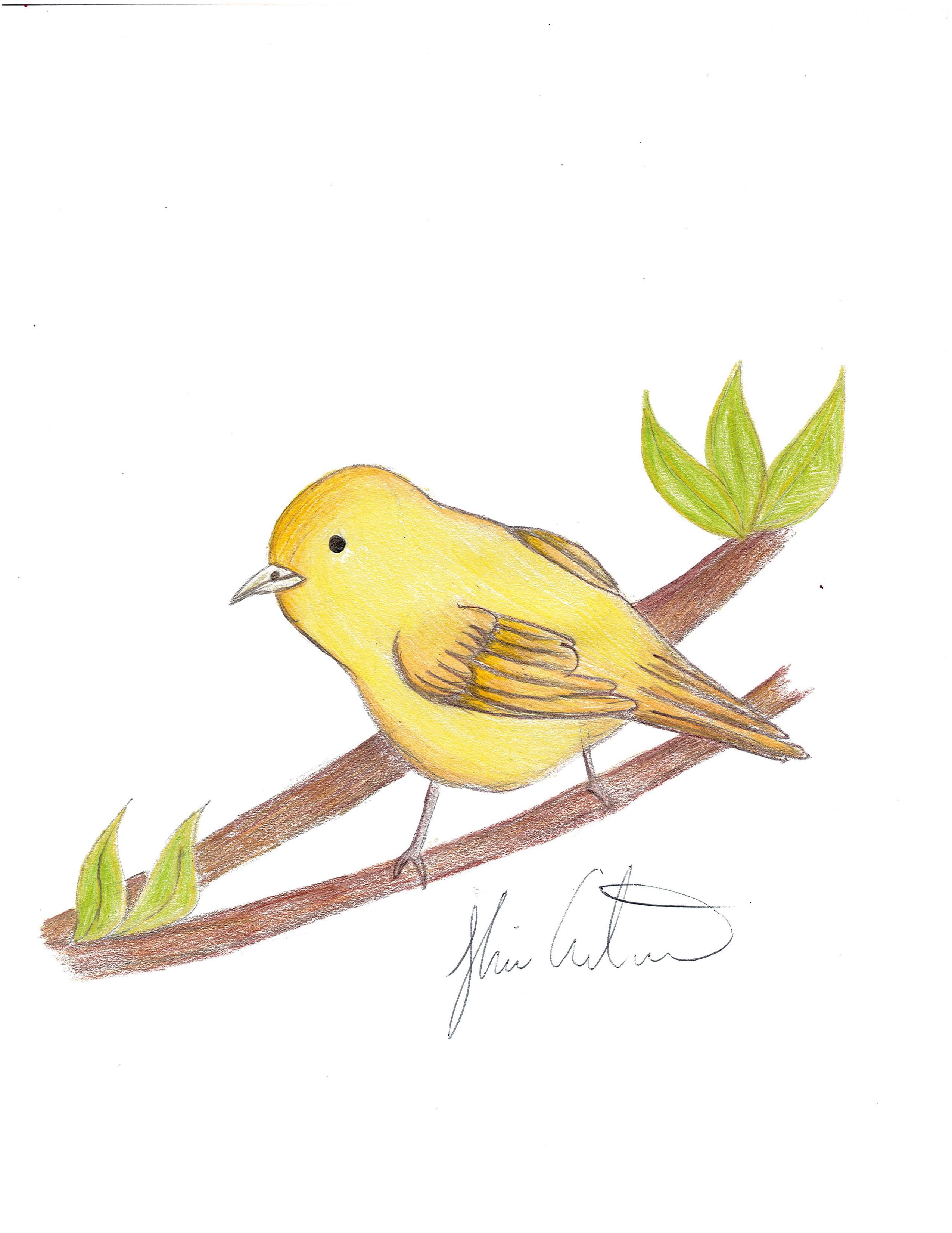 yellow bird flying drawing