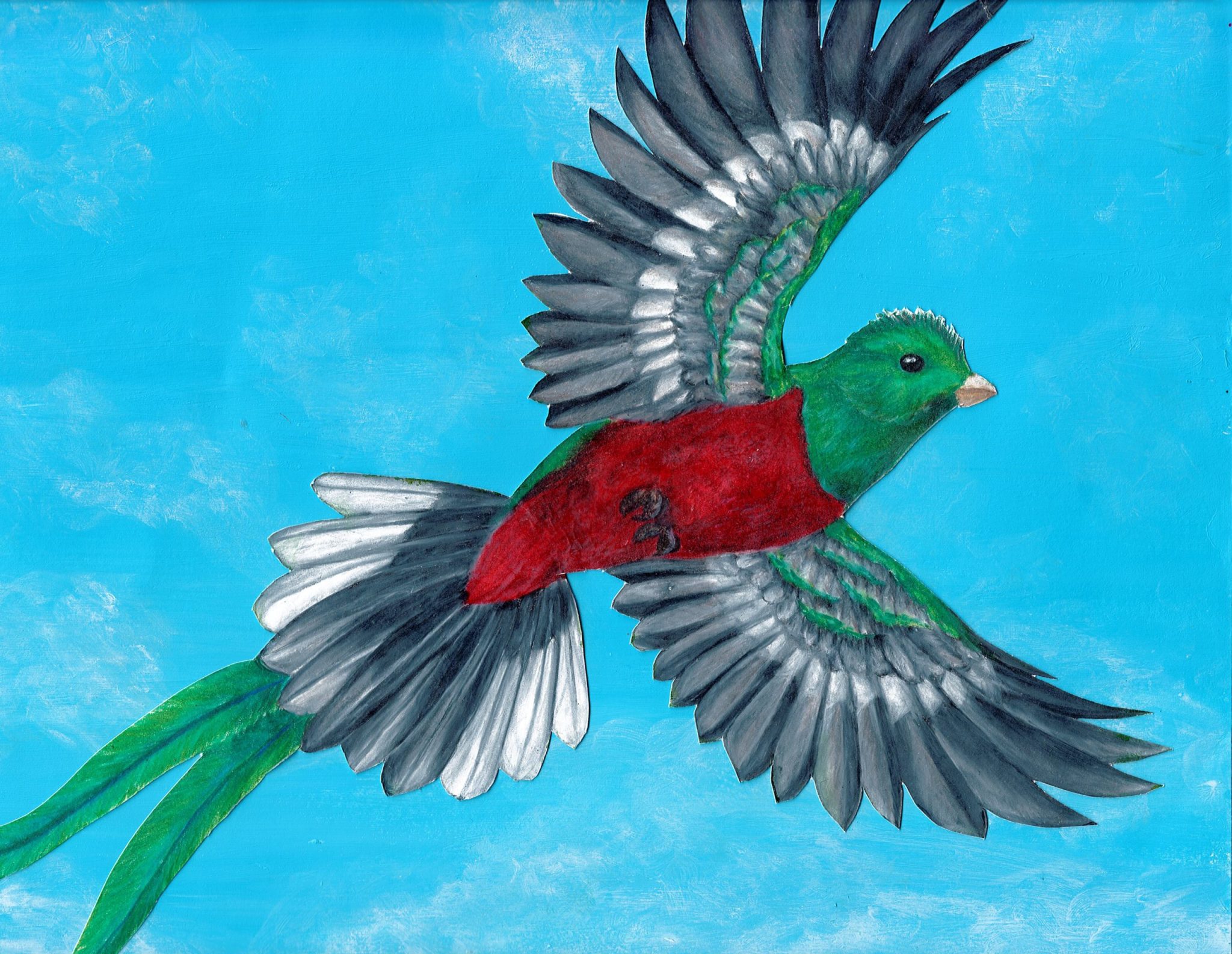 gallery who really painted these resplendent quetzals