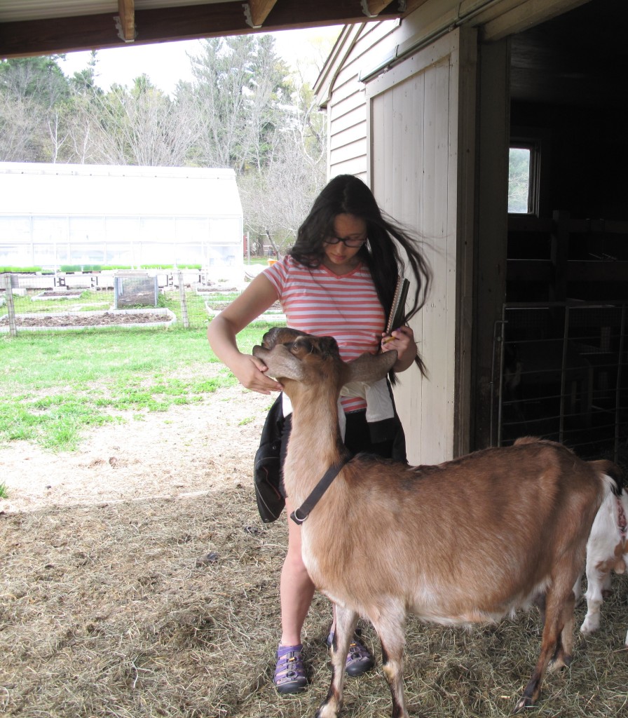 Teen and goat cropped
