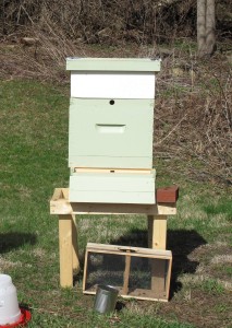 Langstrom Hive