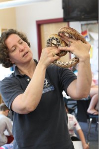 Curiosity is encouraged at Drumlin Farm