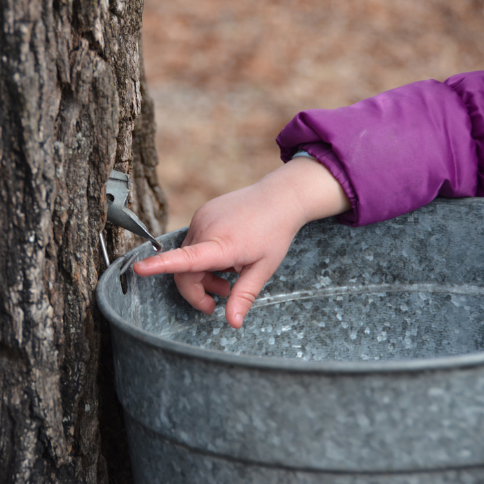 Drumlin Farm Friday to Friday February 26March 4 Views from the Drumlin