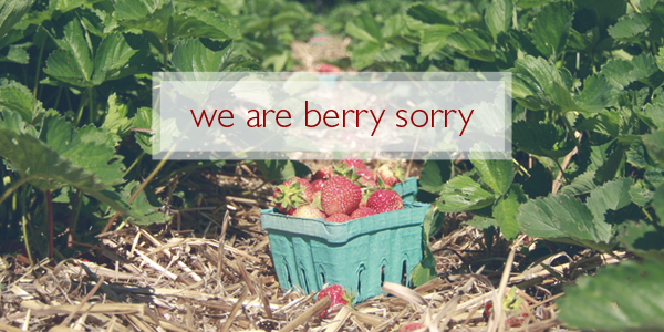 berrysorry_banner