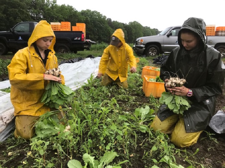 Farmers hot sale rain jacket