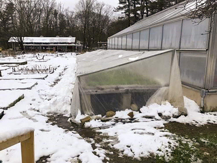 On April 18, several inches of snow tested the strength of our cold frame