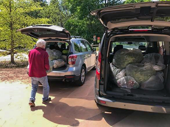 Two carloads of fresh produce for our food donation partners