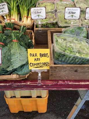 Produce Display at the Union Square Market