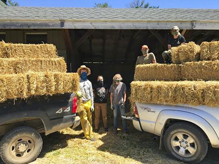 Stacking straw bales for mulching