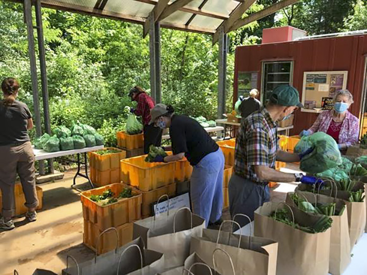 Volunteers Bagging CSA Shares