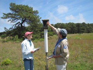 Barbara Williamson (left) and Betsy Richards(right) collecting nest box data