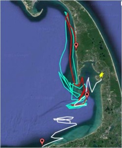 Two Drifters (green and red tracks) were deployed off Wellfleet Bay, drifted north, then south.