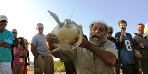 Turtle team coordinator Dennis Murley with one of two green turtles returned to the Cape's south side waters.