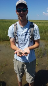 Field researcher Colyer Woolston with Monomoy juveniles (photo courtesy of Mass. Division of Marine Fisheries)