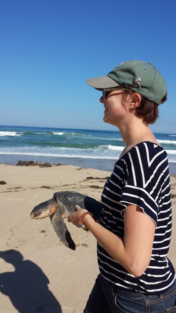 Turtle rescue is so pleasant on a sunny October day! (photo by Michael Sprague).