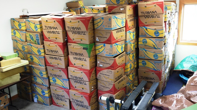 Banana boxes piling up. These are used to transport turtles. (photo by Leah Desrochers)