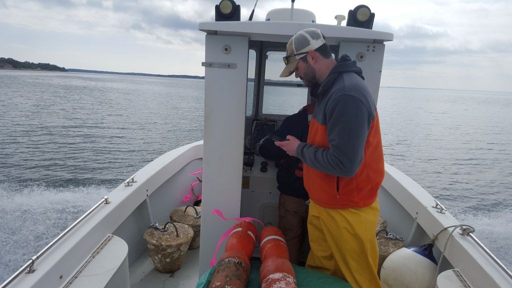 Mike Long redeploys receivers for second season of his horseshoe crab study in Wellfleet Harbor (photo by Michael Sprague)