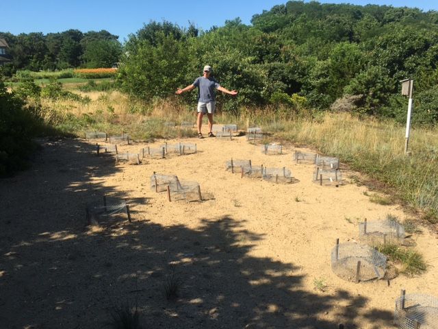 Bill and his main turtle garden at Terrapin Cove