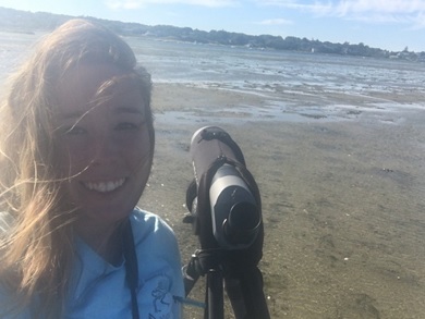 Meghan re-sighting Red Knots at Tern Island in Chatham
