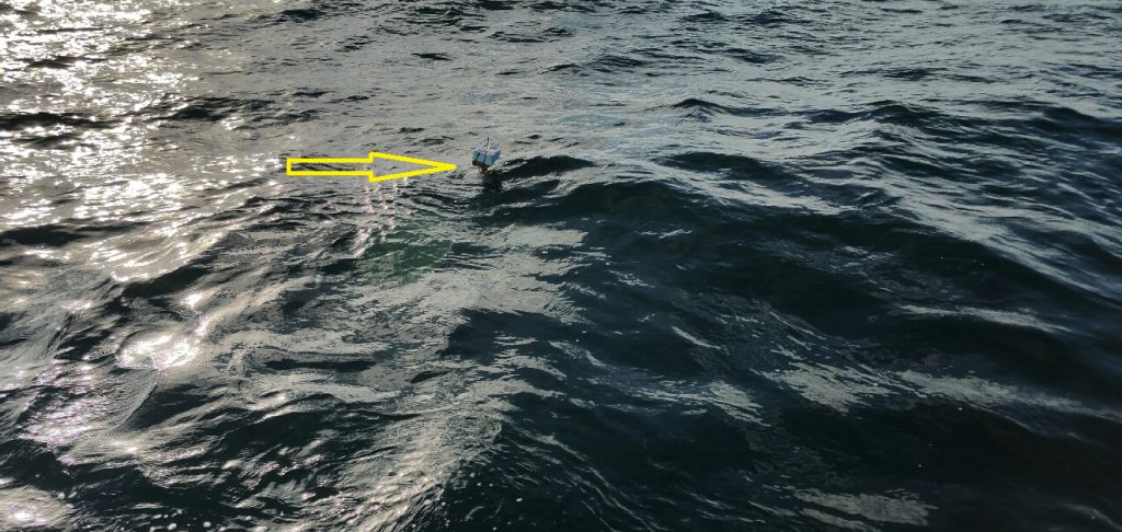 The arrow marks what little of a drifter remains above water: the buoy and the GPS device. (photo by Karen Dourdeville)