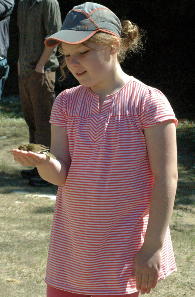 A participant at the bird banding demonstration holds an ovenbird