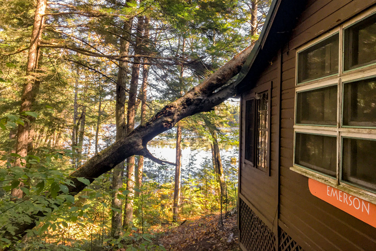 A Tree Fell on Emerson Cabin