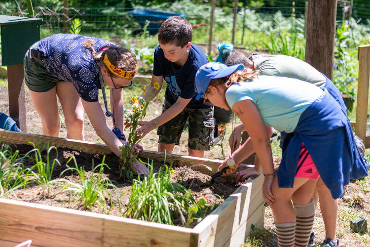 These dedicated campers transplanted wildflowers into our new native flower garden